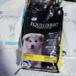 KC587MDrsqfFKmbnxy0Q