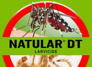Natural DT